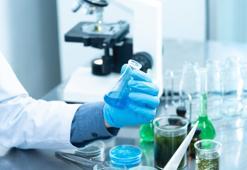 Sedimantasyon nedir, kaç olmalıdır?