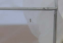 Yunanistan'da can aldı Türkiye için uyarı geldi