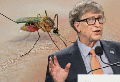 Bill Gates'in sinek fabrikası krizi! Komşu'da 11 kişi öldü, Türkiye de uyarıldı