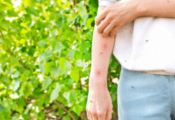 Yeni salgın Türkiye'nin yanı başında can aldı! Hiç belirti göstermiyor