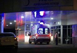 Bingöl'de yine ayı saldırısı