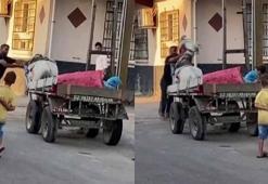 Görüntüler Adana'dan! Yürümek istemeyen ata yumruk atarak eziyet etti