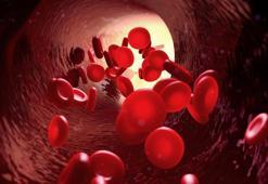 HGP yüksekliği nedir, neden olur? Hemoglabin yüksekliği nasıl anlaşılır?