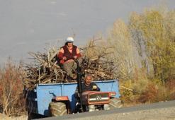 Köylerde kışlık odun hazırlığı başladı