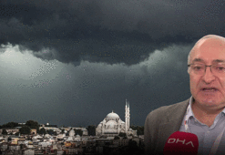 Felaket senaryosu! İki böcek türünde artış var, biri dünyanın en tehlikelisi