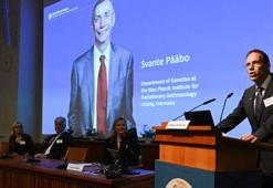 2022 Nobel Tıp Ödülü'nün sahibi belli oldu