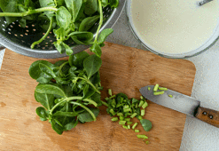 Semizotunu yıllardır yanlış tüketmişiz! Böyle tüketirseniz metabolizma canavarına dönüşüyor!