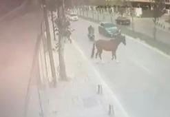 Sancaktepe'de yola çıkan başıboş ata motosiklet çarptı