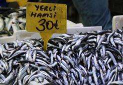 Hamsinin fiyatı düştü, talep azaldı