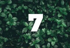 7 sayısının anlamı nedir? Numerolojide 7 sayısı neyi ifade eder, enerjisi nedir?