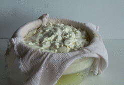 Suyunu sakın dökmeyin! Her gün içerseniz faydası zirve yapıyor…