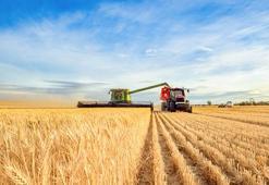 Tarımsal destek ödemeleri ne zaman? Tarım destek paraları yattı mı?