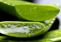 Her cilt tipine özel aloe vera maskesi
