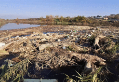Büyük Menderes Nehri siyaha döndü