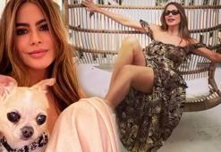 Sofia Vergara'dan bikinili poz