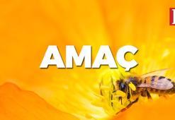 Amaç eş anlamlısı nedir? Amaç kelimesinin eş anlamlısı kelimeler hangileridir?