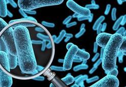 İngiltere'de Strep A krizi büyüyor! Ölüm sayısı 122'ye ulaştı