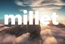 Millet eş anlamlısı nedir? Millet kelimesinin eş anlamlısı kelimeler hangileridir?