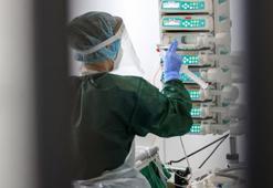 Tam 25 milyon euro değerinde! Hepsi çöpe gitti