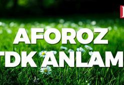 Aforoz nedir? Aforoz ne demek TDK? Aforoz sözlük anlamı...
