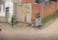 Sokak ortasında köpeği pompalı tüfekle öldürdü, kan donduran gerçek ortaya çıktı