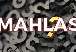 Mahlas nedir? Mahlas ne demek TDK? Mahlas sözlük anlamı...