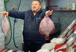 Karadeniz soğudu, tezgahta balık bollaştı! İşte fiyatlar