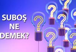Suboş ne demek, TDK sözlük anlamı nedir? Suboş kim için kullanılır?