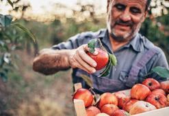 Markette sebze ve meyve fiyatlarını iyi araştırın