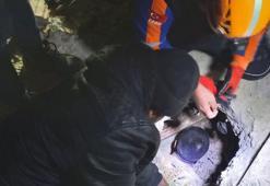 Yüreklere su serpen haberler gelmeye devam ediyor