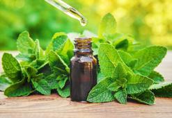 Nane yağı nasıl yapılır? Nane yağı nelere iyi gelir, faydaları nelerdir?
