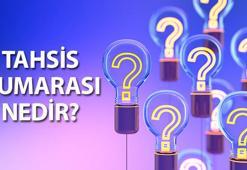Tahsis numarası nedir, ne işe yarar? Emekli tahsis numarası nasıl öğrenilir?