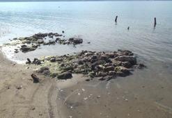 Erdek'te deniz çekildi! Antik liman ortaya çıktı