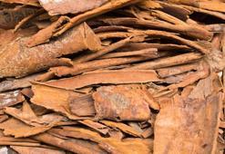 Metabolizmayı hızlandıran bitki çayları