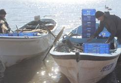 Manyas Gölü’nde av yasağı başlıyor