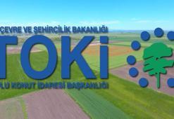 TOKİ KONYA  ARSA KURA ÇEKİLİŞİ CANLI İZLE! (TOKİ YouTube) TOKİ Konya arsa kura sonuçları ve isim listesi!