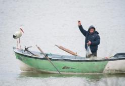 Yaren leylek yuvaya döndü