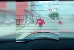 Meksika’da yaban arıları insanlara saldırdı: 1 ölü