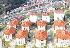 Selden sonra yeniden ayağa kalktı