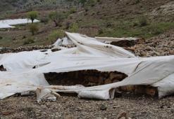 Şırnak'ta sel faciası! Sahurda yakalandılar, canlarını zor kurtardılar