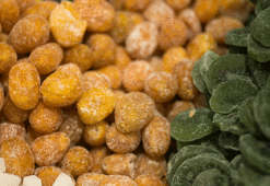 Canan Karatay açıkladı: Uyuyana kadar tüketenlerde 10 yaş gençleştiriyor...