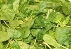 Çok güçlü E vitamini kaynağı! Tırnakları hızlı uzatıyor, her gün mutlaka tüketin