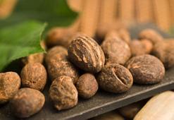 Yoğun nem kapasitesiyle cilt bariyerini onarıyor! Daha genç görünmek mümkün, bir kez süren asla vazgeçemiyor