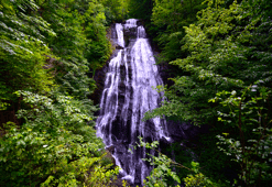 Düzce Haritası: Düzce ilçeleri nelerdir? Düzce hangi bölgede yer alır?
