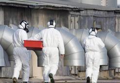 İngiltere’de kuş gribi paniği! İki kişide görüldü