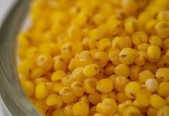 Dünyanın en zengin magnezyum kaynağı! Bağırsaklarda toksin bırakmıyor