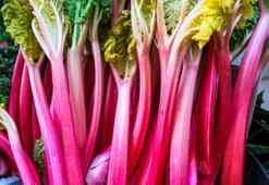 Beyazlayan saçlara mucizevi çözüm! Saç boyası kullanmadan beyaz saçları yok edin