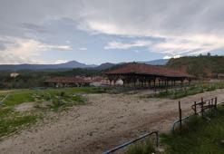 Şap hastalığı alarmı! İkinci bir emre kadar kapatıldı