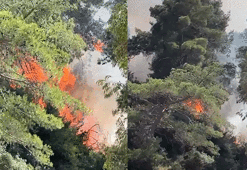 Antalya'da orman yangını