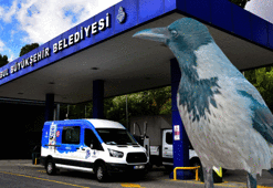 Esrarengiz olay! Dedektif karga, güvenlikçinin önüne iki parmak bıraktı